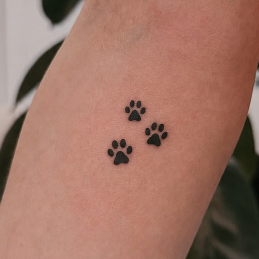 Tiny Paw Trio Tattoo