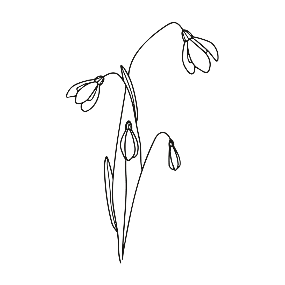 0060-january-snowdrop-promise-semi-permanent-tattoo-front-tattoo