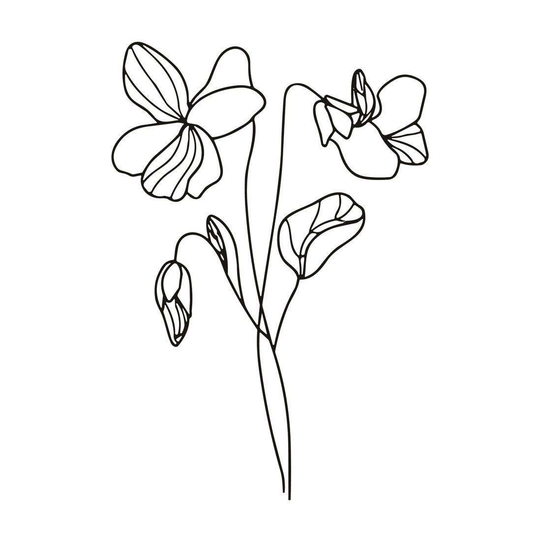 0061-february-violet-whisper-semi-permanent-tattoo-front-tattoo