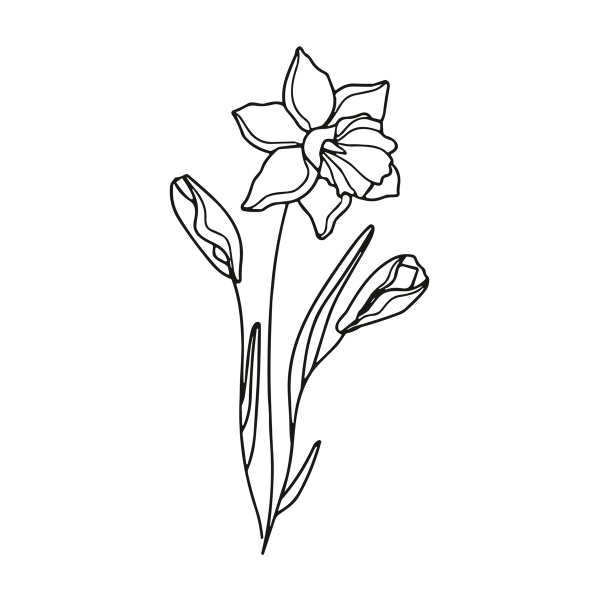 0062-march-daffodil-dawn-semi-permanent-tattoo-front-tattoo