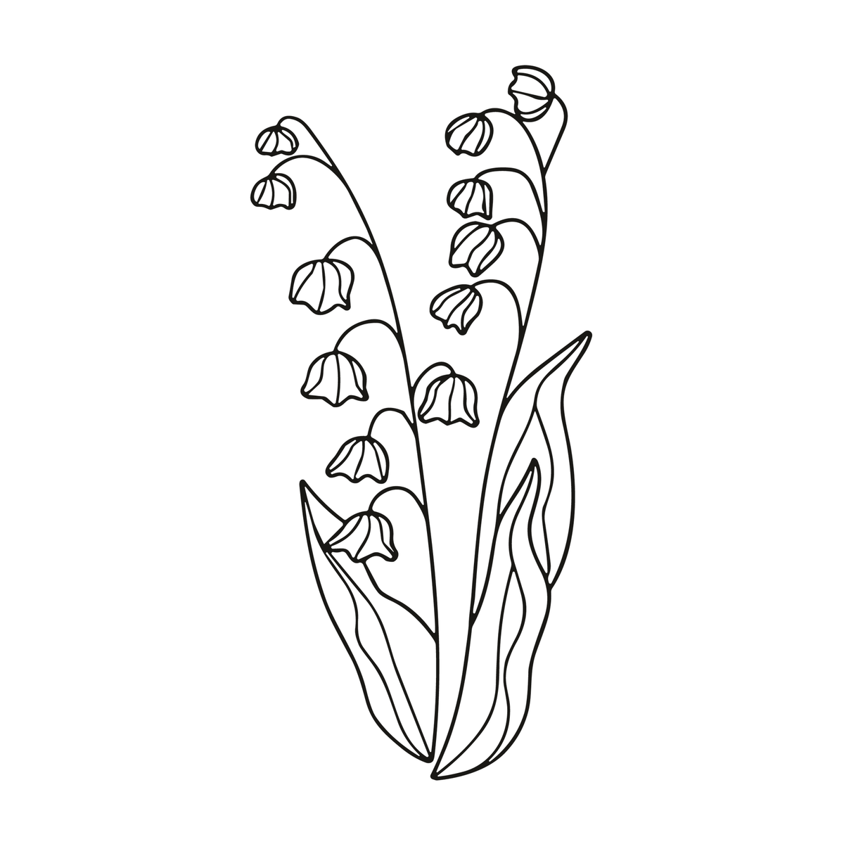 0064-may-lily-bell-semi-permanent-tattoo-front-tattoo