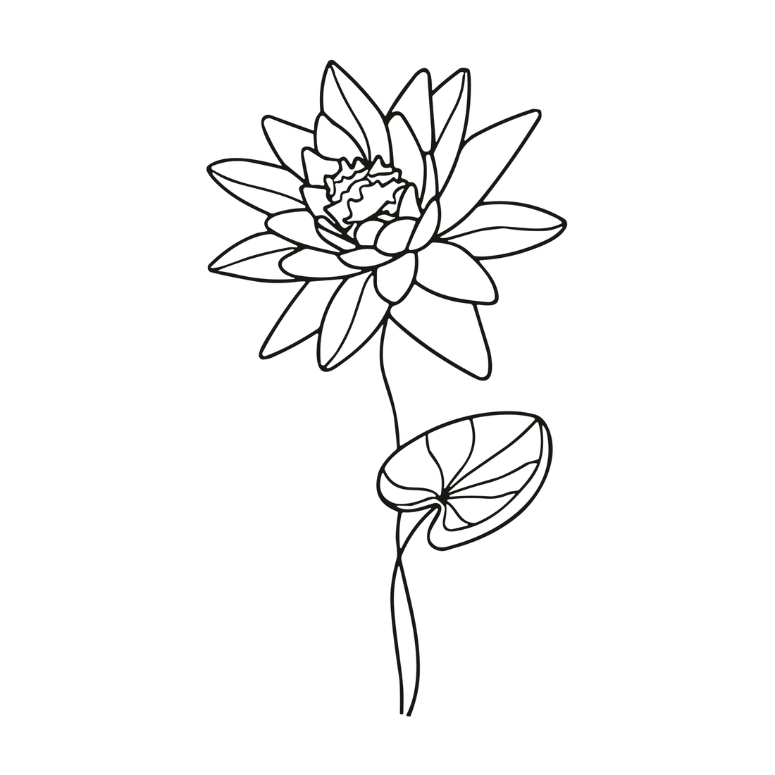 0066-july-water-lily-dream-semi-permanent-tattoo-front-tattoo