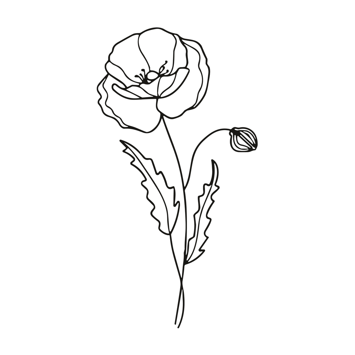 0067-august-poppy-glow-semi-permanent-tattoo-front-tattoo