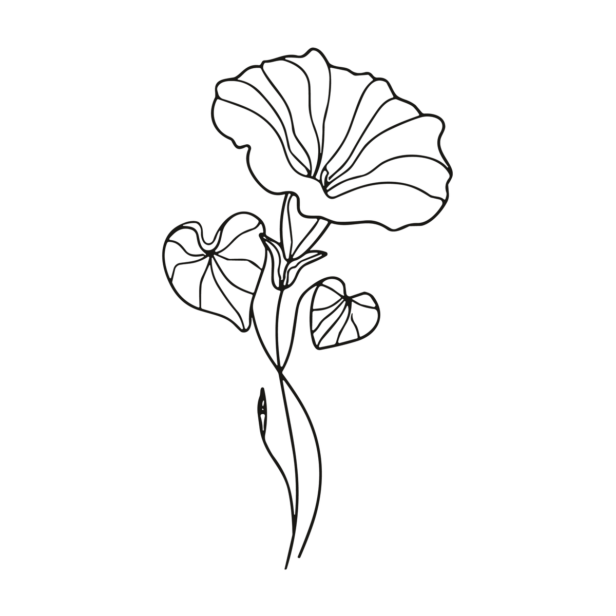 0068-september-morning-glory-semi-permanent-tattoo-front-tattoo