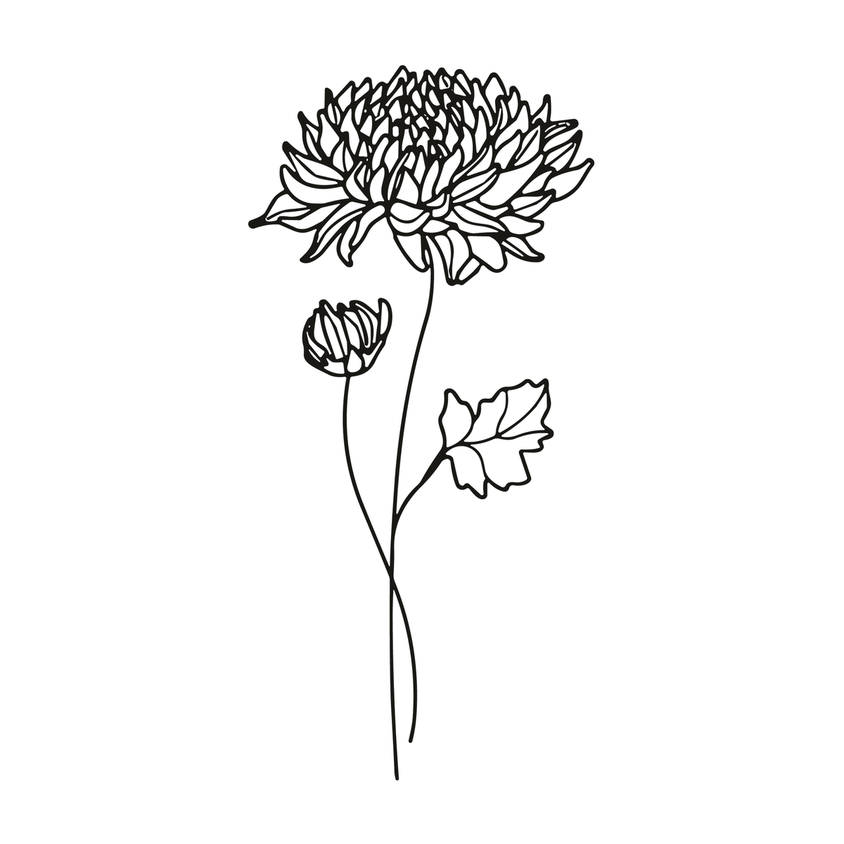 0070-november-chrysanthemum-grace-semi-permanent-tattoo-front-tattoo