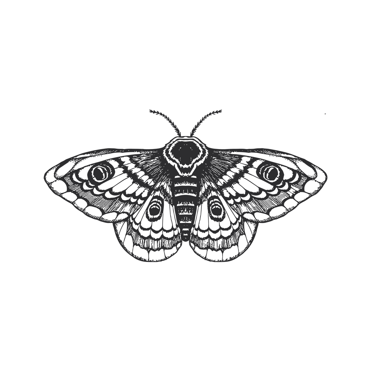 0087-moonlit-moth-semi-permanent-tattoo-front-tattoo