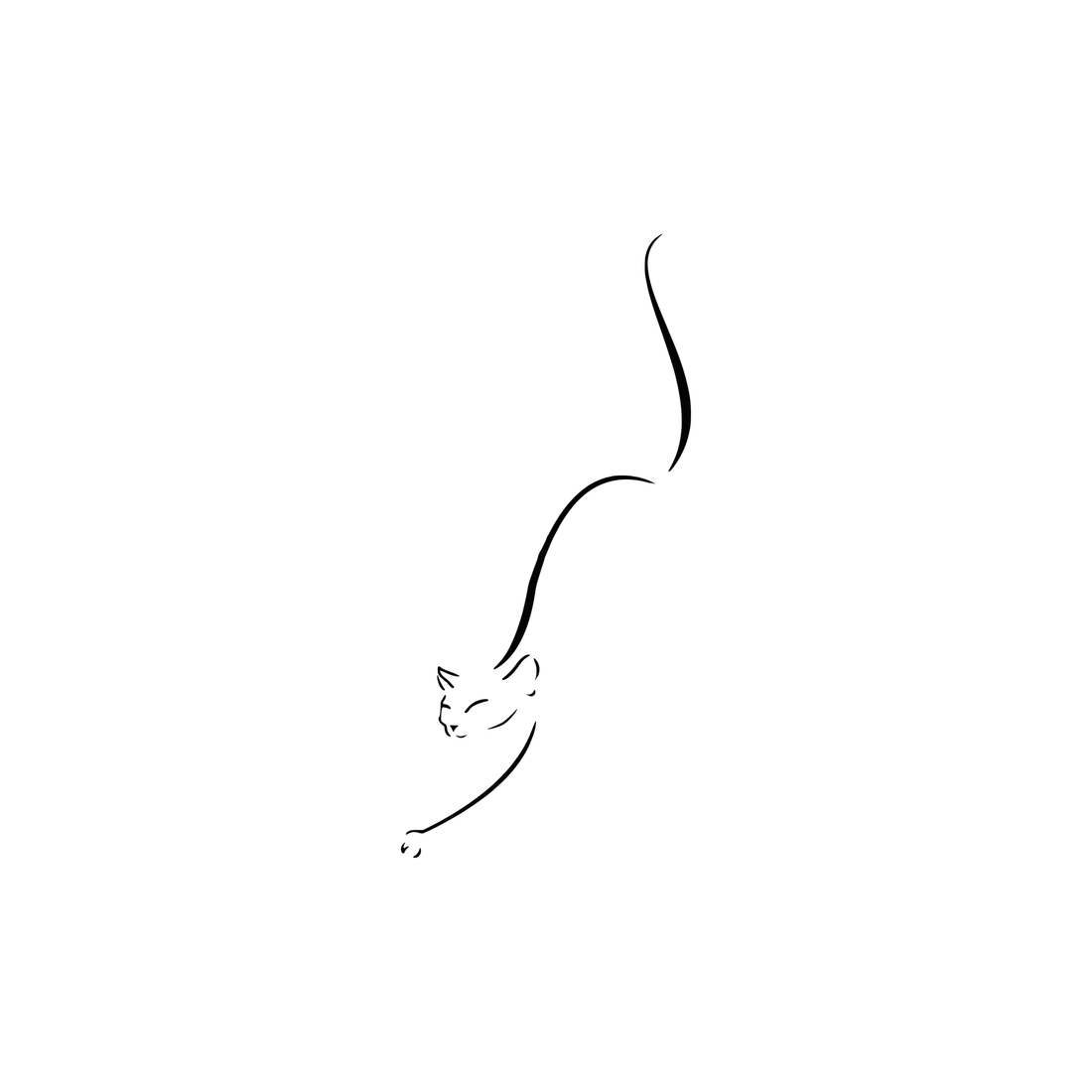 0091-whisker-line-semi-permanent-tattoo-front-tattoo