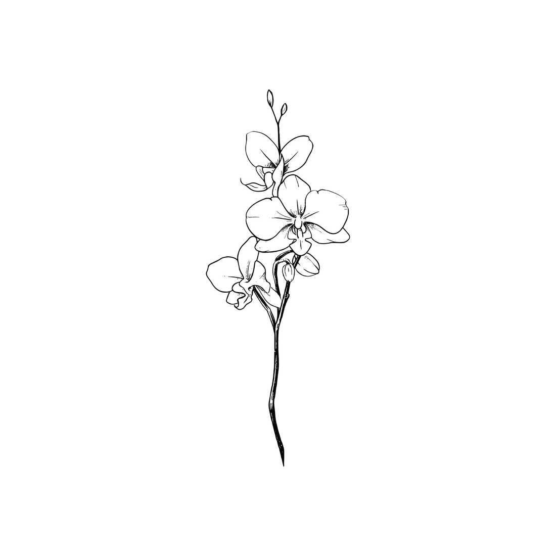 0096-orchid-whisper-semi-permanent-tattoo-front-tattoo