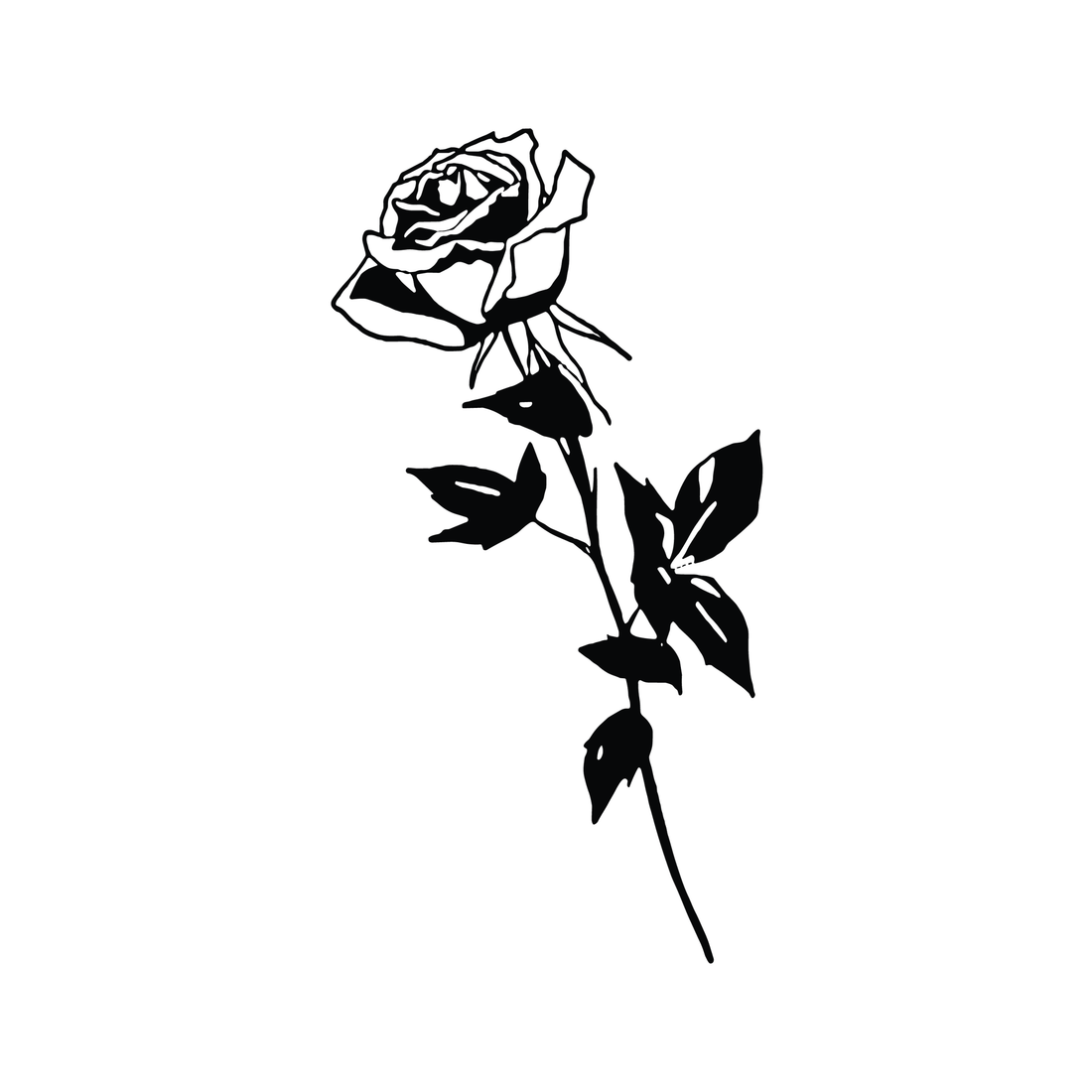 0202-timeless-rose-semi-permanent-tattoo-front-tattoo