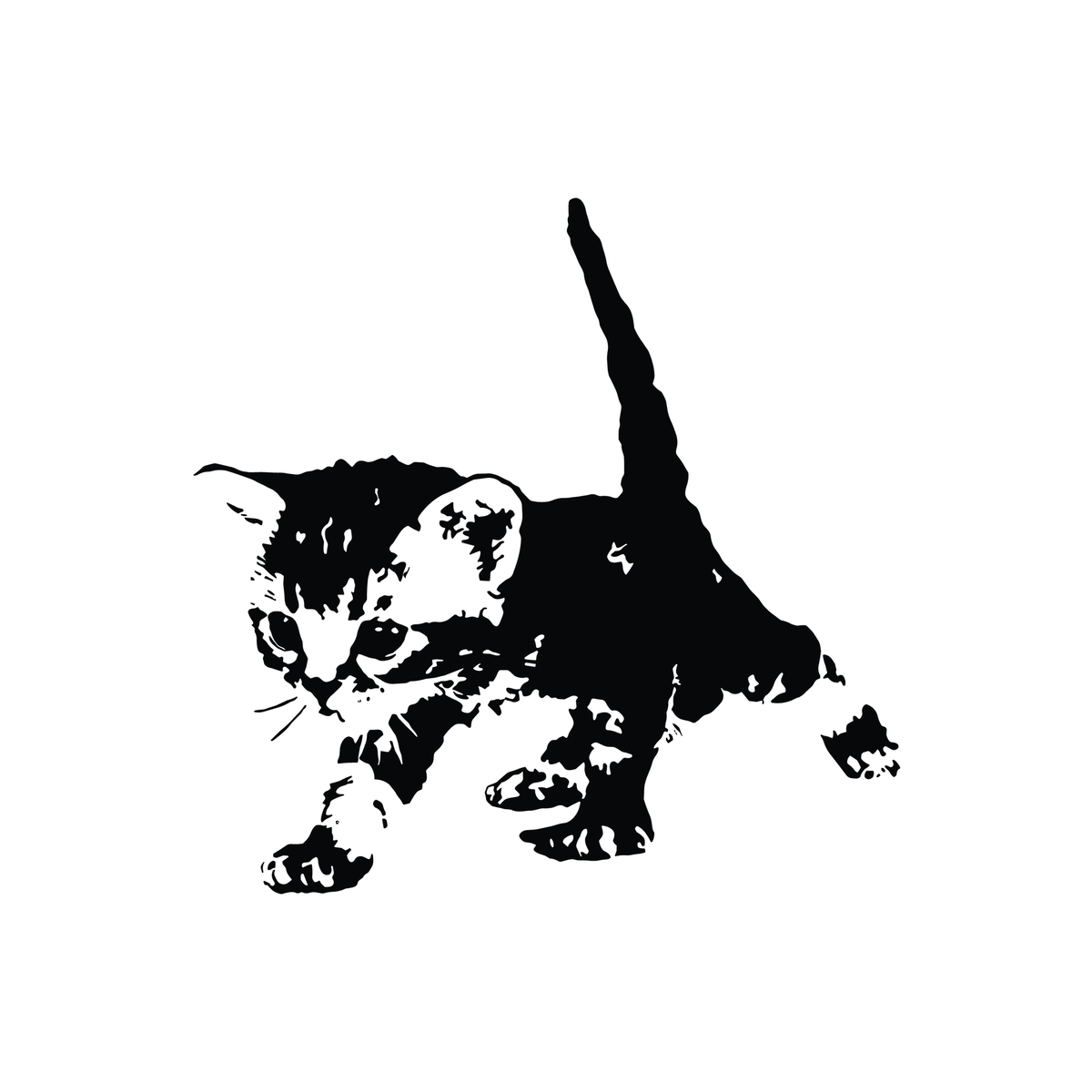 0220-street-cat-spirit-semi-permanent-tattoo-front-tattoo